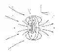 Fig. 01 - Magnetic field generator