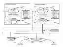 Fig. 01 - Routing protocols for accommodating nodes with redundant routing facilities