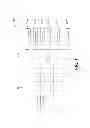 Fig. 06 - Wireless communication circuit supporting antenna diversity