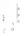 Fig. 02 - PHY bandwidth estimation from backpressure patterns