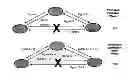 Fig. 01 - NODE ARBITRATED MEDIA ACCESS CONTROL PROTOCOL FOR AD HOC BROADCAST NETWORKS CARRYING EPHEMERAL INFORMATION