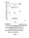 Fig. 04 - Cooperation in channel reservation