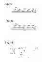 Fig. 07 - Radiological image capturing apparatus and radiological image capturing system
