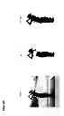 Fig. 43 - Silhouette correction method and system and silhouette extraction method and system