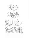 Fig. 02 - Rolling element bearing comprising a multi-part cage