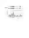 Fig. 04 - METHODS USEFUL IN STUDYING OR MODULATING SKIN OR HAIR PIGMENTATION, PLANT EXTRACTS FOR USE IN COMPOSITIONS AND COSMETIC CARE METHOD