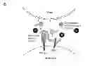 Fig. 01 - COMPOSITIONS AND METHODS FOR INHIBITING VIRAL INFECTION