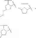 Fig. 33 - Antiviral compounds