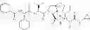 Fig. 41 - Inhibitors of Serine Proteases
