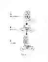 Fig. 16 - PEGylation by the dock and lock (DNL) technique