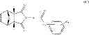 Fig. 14 - Wnt inhibitors for human stem cell differentiation
