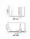 Fig. 13 - Methods for introducing mannose 6-phosphate and other oligosaccharides onto glycoproteins and applications thereof