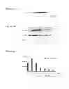 Fig. 03 - Treatment of synucleinopathies