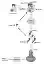 Fig. 01 - Compositions and methods for treating IgE-mediated disorders