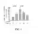 Fig. 06 - Methods of treatment using rage fusion proteins