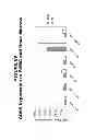 Fig. 70 - Methods and compositions for treating and diagnosing diseases