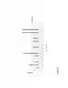 Fig. 06 - PDGF receptor beta binding polypeptides