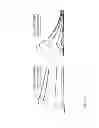 Fig. 13 - PDGF receptor beta binding polypeptides