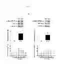 Fig. 02 - Compositions And Methods For The Treatment Of Neurologic And Psychiatric Conditions