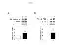 Fig. 03 - Compositions And Methods For The Treatment Of Neurologic And Psychiatric Conditions