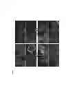 Fig. 07 - ANTI-TRANSFERRIN RECEPTOR ANTIBODIES AND METHODS USING SAME