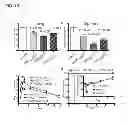 Fig. 10 - Vaccines comprising heat-sensitive transgenes