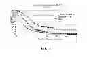 Fig. 03 - Personalized site-specific immunomodulation