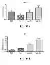 Fig. 47 - Personalized site-specific immunomodulation