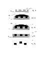 Fig. 11 - DISCRETE SIZE AND SHAPE SPECIFIC PHARMACEUTICAL ORGANIC NANOPARTICLES