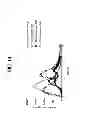 Fig. 18 - Compositions and methods of treating metabolic disorders