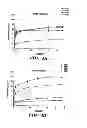 Fig. 05 - SILK-BASED DRUG DELIVERY SYSTEM