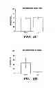 Fig. 07 - SILK-BASED DRUG DELIVERY SYSTEM