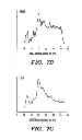 Fig. 10 - SILK-BASED DRUG DELIVERY SYSTEM
