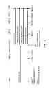 Fig. 20 - DPA-enriched compositions of omega-3 polyunsaturated fatty acids in free acid form