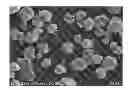 Fig. 01 - LITHIUM IRON PHOSPHATE COMPOSITE MATERIAL, PRODUCTION METHOD AND USE THEREOF