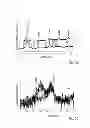 Fig. 07 - Endodontic files and method of preparation thereof