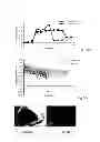 Fig. 09 - Endodontic files and method of preparation thereof