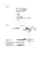 Fig. 06 - Method for controlling the amount of gene product, and agent for controlling the amount of gene product