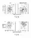 Fig. 08 - Method and device for high throughput cell deformability measurements