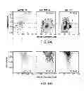Fig. 09 - Method and device for high throughput cell deformability measurements