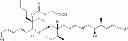 Fig. 22 - Process for producing reveromycin A or a synthetic intermediate thereof, process for producing compounds containing a spiroketal ring and novel antineoplastics, fungicides and therapeutic agents for bone disorders