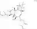 Fig. 07 - Method of producing ingenol-3-angelate