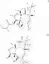 Fig. 08 - Method of producing ingenol-3-angelate