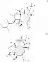 Fig. 09 - Method of producing ingenol-3-angelate