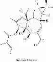 Fig. 35 - Method of producing ingenol-3-angelate