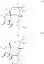 Fig. 43 - Method of producing ingenol-3-angelate
