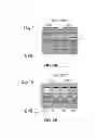 Fig. 03 - Methods and compositions for regulation of transgene expression