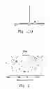 Fig. 03 - COMBINATION OF CATIONIC POLYMERS AND POLYSACCHARIDES NANOPARTICLES AS A GENE CARRIER