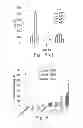 Fig. 06 - COMBINATION OF CATIONIC POLYMERS AND POLYSACCHARIDES NANOPARTICLES AS A GENE CARRIER
