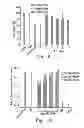 Fig. 08 - COMBINATION OF CATIONIC POLYMERS AND POLYSACCHARIDES NANOPARTICLES AS A GENE CARRIER